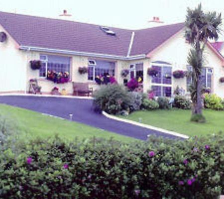 The Yellow Rose B&B Belderg Extérieur photo