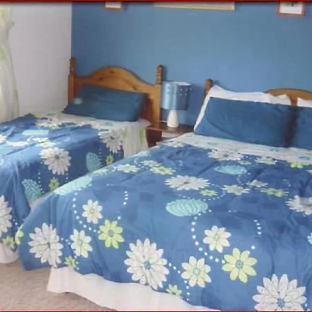 The Yellow Rose B&B Belderg Extérieur photo