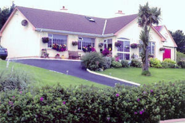 The Yellow Rose B&B Belderg Extérieur photo
