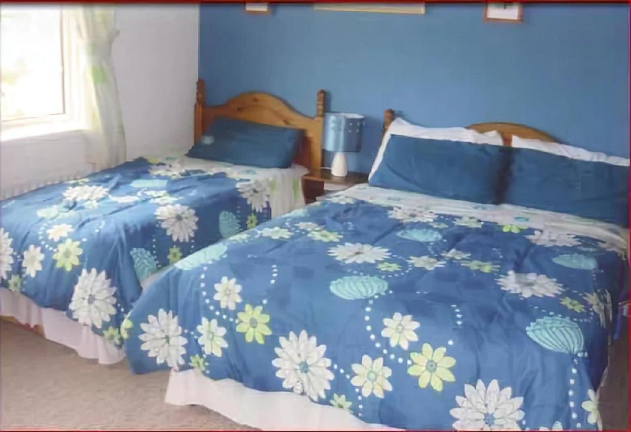 The Yellow Rose B&B Belderg Extérieur photo